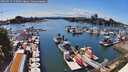 ./images/victoria/wharf/20260517/wharf20260517_155002M.jpg