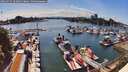 ./images/victoria/wharf/20260517/wharf20260517_162001M.jpg
