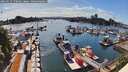 ./images/victoria/wharf/20260517/wharf20260517_170001M.jpg