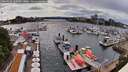 ./images/victoria/wharf/20260518/wharf20260518_161501M.jpg