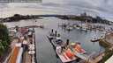 ./images/victoria/wharf/20260519/wharf20260519_155501M.jpg