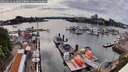 ./images/victoria/wharf/20260519/wharf20260519_163001M.jpg
