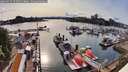 ./images/victoria/wharf/20260519/wharf20260519_173501M.jpg