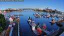 ./images/victoria/wharf/20260520/wharf20260520_081001M.jpg