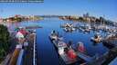 ./images/victoria/wharf/20260520/wharf20260520_081501M.jpg