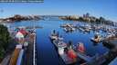 ./images/victoria/wharf/20260520/wharf20260520_082501M.jpg