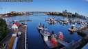 ./images/victoria/wharf/20260520/wharf20260520_083001M.jpg