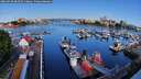 ./images/victoria/wharf/20260520/wharf20260520_083501M.jpg