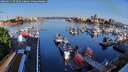 ./images/victoria/wharf/20260521/wharf20260521_073501M.jpg