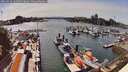 ./images/victoria/wharf/20260523/wharf20260523_161501M.jpg