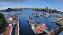 ./images/victoria/wharf/20260524/wharf20260524_102501M.jpg