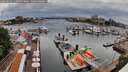 ./images/victoria/wharf/20260525/wharf20260525_111001M.jpg