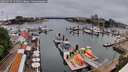 ./images/victoria/wharf/20260525/wharf20260525_121501M.jpg