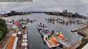 ./images/victoria/wharf/20260525/wharf20260525_125501M.jpg