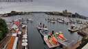 ./images/victoria/wharf/20260525/wharf20260525_144501M.jpg