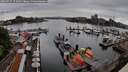./images/victoria/wharf/20260525/wharf20260525_155001M.jpg
