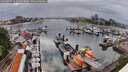 ./images/victoria/wharf/20260525/wharf20260525_164501M.jpg