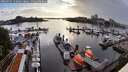 ./images/victoria/wharf/20260525/wharf20260525_191001M.jpg
