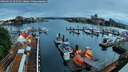 ./images/victoria/wharf/20260526/wharf20260526_052501M.jpg