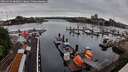 ./images/victoria/wharf/20260526/wharf20260526_082001M.jpg