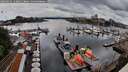 ./images/victoria/wharf/20260526/wharf20260526_120001M.jpg