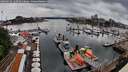 ./images/victoria/wharf/20260526/wharf20260526_120501M.jpg