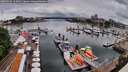 ./images/victoria/wharf/20260526/wharf20260526_123001M.jpg