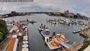 ./images/victoria/wharf/20260526/wharf20260526_132002M.jpg