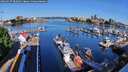./images/victoria/wharf/20260527/wharf20260527_082001M.jpg