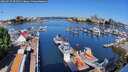./images/victoria/wharf/20260527/wharf20260527_094501M.jpg