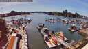 ./images/victoria/wharf/20260527/wharf20260527_162001M.jpg