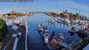 ./images/victoria/wharf/20260528/wharf20260528_072001M.jpg