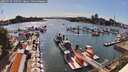 ./images/victoria/wharf/20260528/wharf20260528_170501M.jpg
