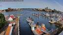 ./images/victoria/wharf/20260530/wharf20260530_091001M.jpg