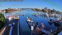 ./images/victoria/wharf/20260531/wharf20260531_074001M.jpg