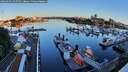 ./images/victoria/wharf/20260601/wharf20260601_055502M.jpg