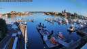 ./images/victoria/wharf/20260602/wharf20260602_065001M.jpg