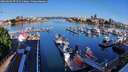 ./images/victoria/wharf/20260602/wharf20260602_074501M.jpg