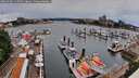 ./images/victoria/wharf/20260603/wharf20260603_115501M.jpg