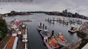 ./images/victoria/wharf/20260603/wharf20260603_131501M.jpg