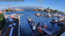./images/victoria/wharf/20260604/wharf20260604_072501M.jpg