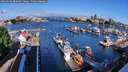 ./images/victoria/wharf/20260604/wharf20260604_082001M.jpg