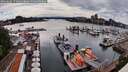 ./images/victoria/wharf/20260604/wharf20260604_171001M.jpg