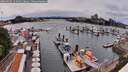 ./images/victoria/wharf/20260605/wharf20260605_154001M.jpg