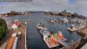 ./images/victoria/wharf/20260607/wharf20260607_084501M.jpg