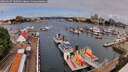 ./images/victoria/wharf/20260607/wharf20260607_100001M.jpg