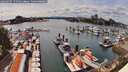 ./images/victoria/wharf/20260607/wharf20260607_155501M.jpg