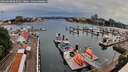 ./images/victoria/wharf/20260608/wharf20260608_062501M.jpg