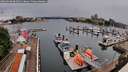 ./images/victoria/wharf/20260608/wharf20260608_081501M.jpg