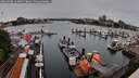 ./images/victoria/wharf/20260608/wharf20260608_124001M.jpg